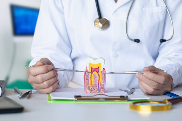 Best Knocked-Out Tooth (Avulsed Tooth) Treatment in Galena, KS